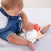Maskotka z pozytywką, Kwiatek z kolekcji: Jezioro Łabędzie