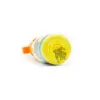 Cool Bottles Butelka termiczna Kids 260 ml Triple
