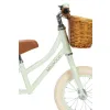 Banwood FIRST GO! rowerek biegowy pale mint