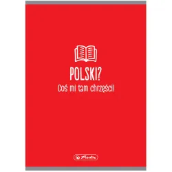 Zeszyt w linię A5 60 kartek - Polski