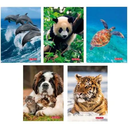 Zeszyty w kratkę A5 32 kartkowe 5 sztuk - Animals ZESTAW 5 sztuk