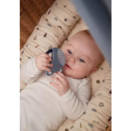 Filibabba Gryzak chłodzący 2 szt. Żabki